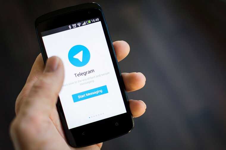      Telegram    